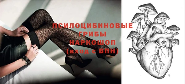 прущие грибы Аркадак