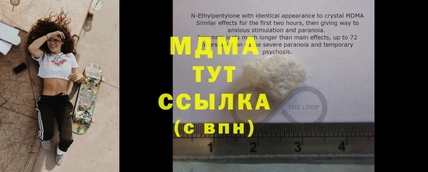 прущие грибы Аркадак