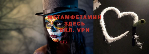 прущие грибы Аркадак
