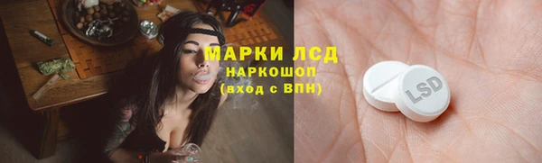 прущие грибы Аркадак