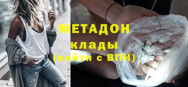 прущие грибы Аркадак