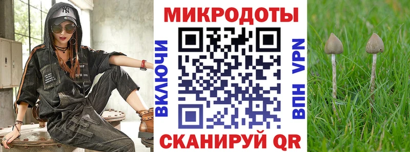 купить наркотики сайты Кирово-Чепецк Псилоцибиновые грибы Cubensis
